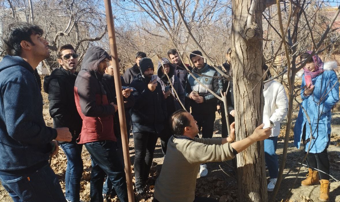 آموزش هرس درختان در انجمن علمی دانشجویی علوم باغبانی دانشگاه تربیت مدرس
