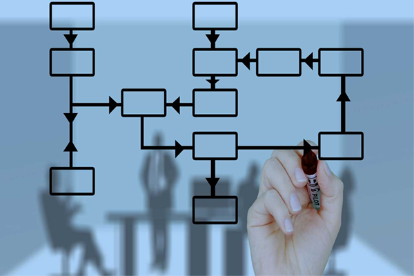 Public management studies and consultancy