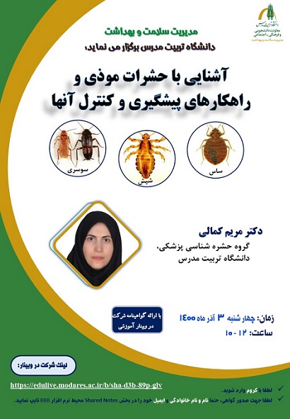 برگزاری وبینار 