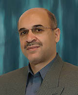 شمس الدین نیکنامی